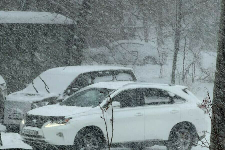 Весна откладывается: в Приамурье прогнозируют очередной сильный снегопад