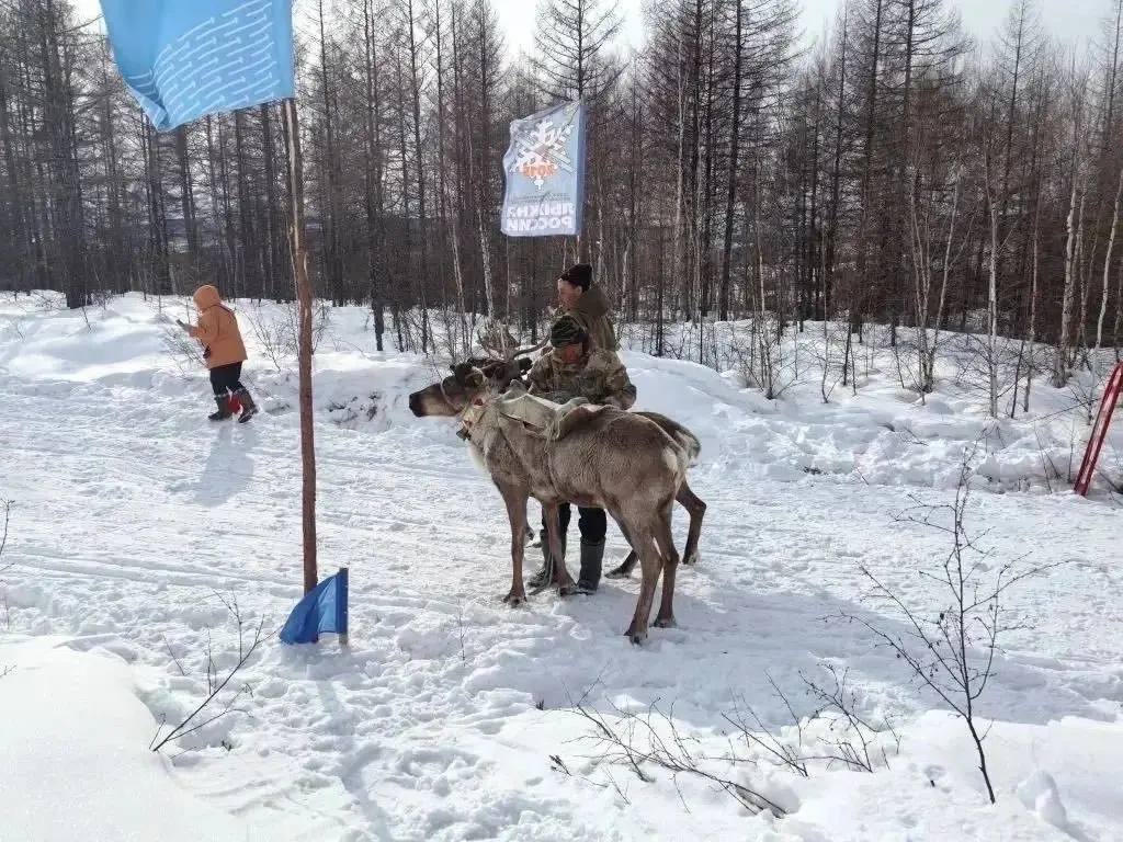 День оленевода и охотника отпраздновали на севере Приамурья День оленевода и охотника отпраздновали на севере Приамурья