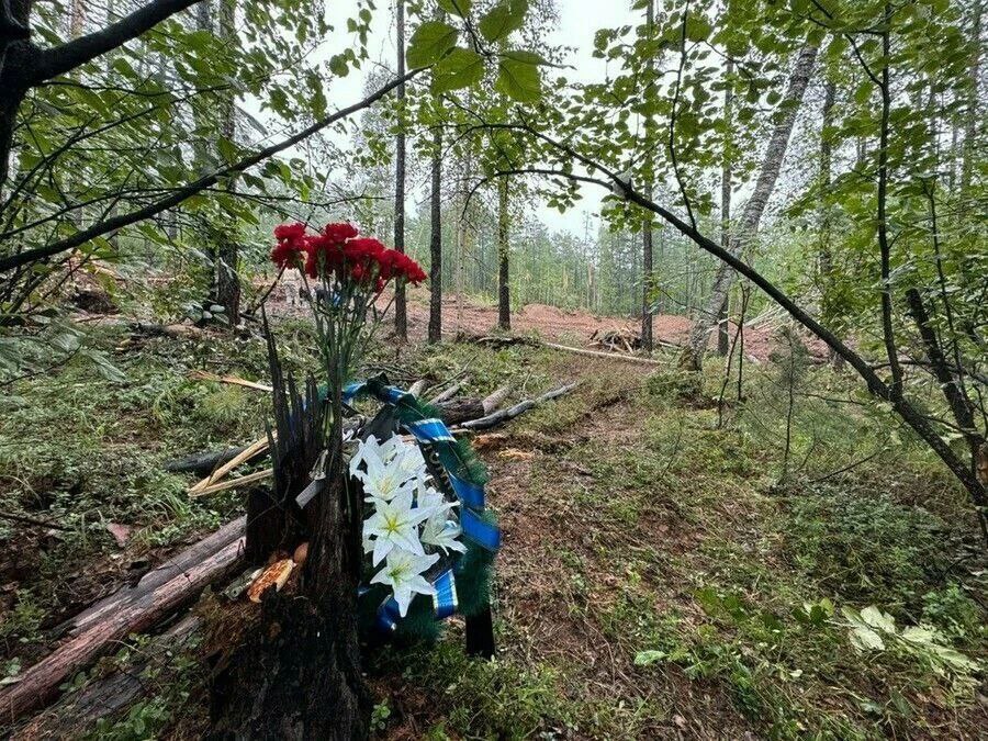 Амурчанка, потерявшая в авиакатастрофе под Тындой дочь и внука, попросила взыскать с авиакомпании 10 миллионов рублей
