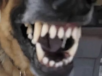 ��� ������� ����������� ���������� ����� � ������ ���������� �������, ������������ �� ��������� ��������� ������ � �������������