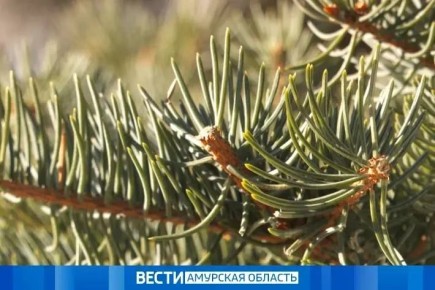 �� ������� � ��������� ������ �������� ��������� ������: ������� ������� ����