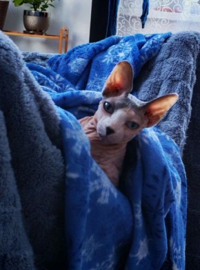 ����� ������������, � �����, ����������, �����?