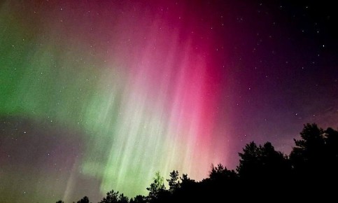 �������� ������ ����������� �� �������� �������