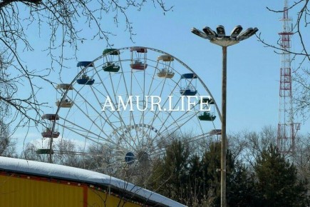 ��������� ���� �������� � ������ ����� ������������