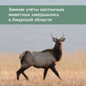 ��������� ������� ���������� ������� ������� ��� ������ � � 15 ������ �� 15 �����