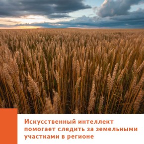 В Амурской области подвели итоги пилотного проекта по внедрению интеллектуальных технологий в муниципальный земельный контроль