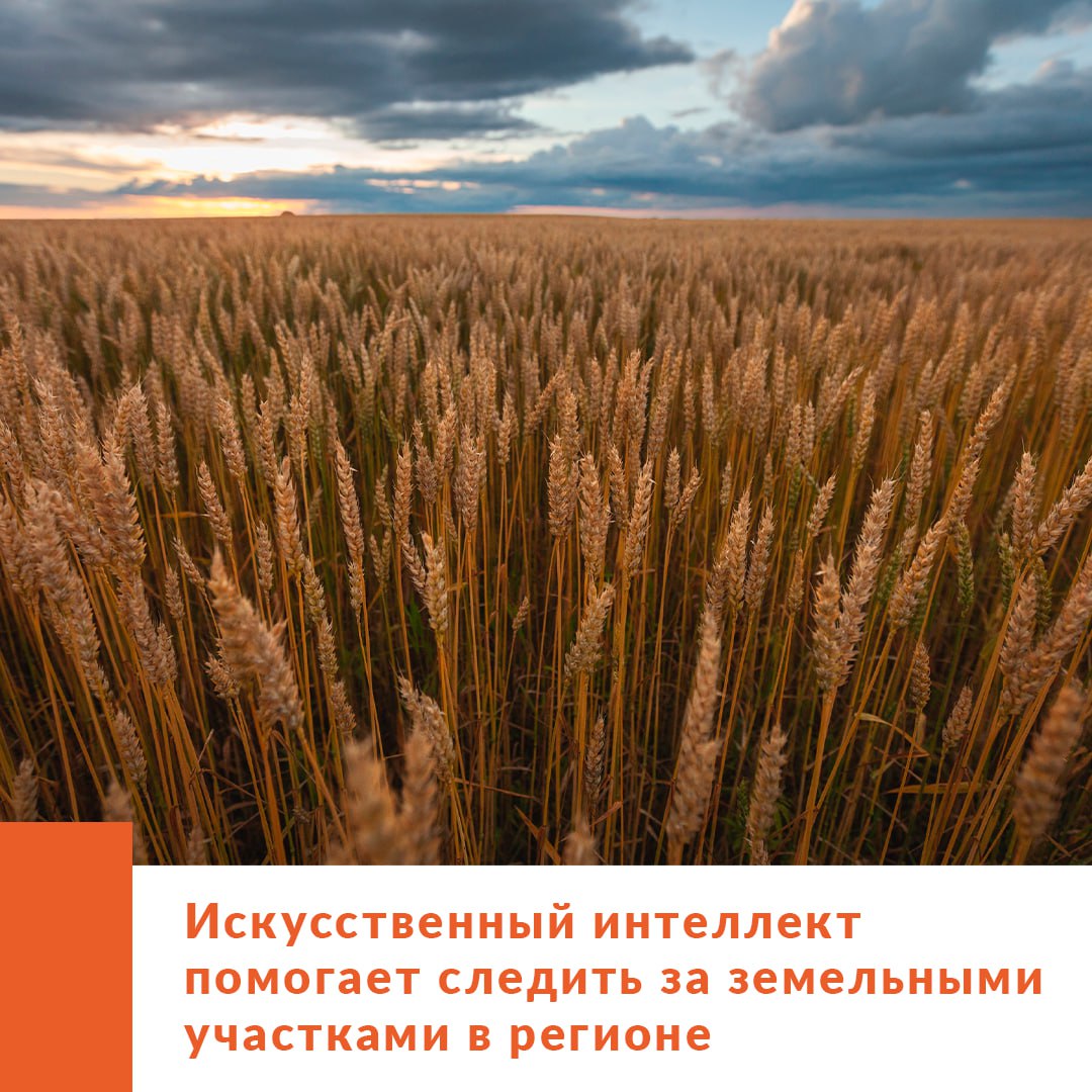 В Амурской области подвели итоги пилотного проекта по внедрению интеллектуальных технологий в муниципальный земельный контроль