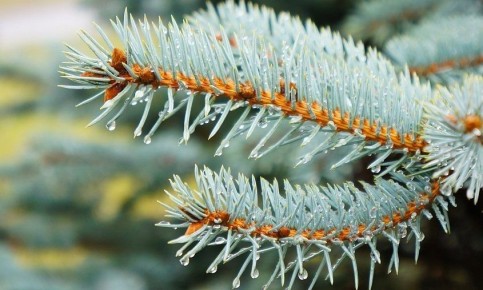 ������� ������ � �������� ������� �� 22 ����� (����):�