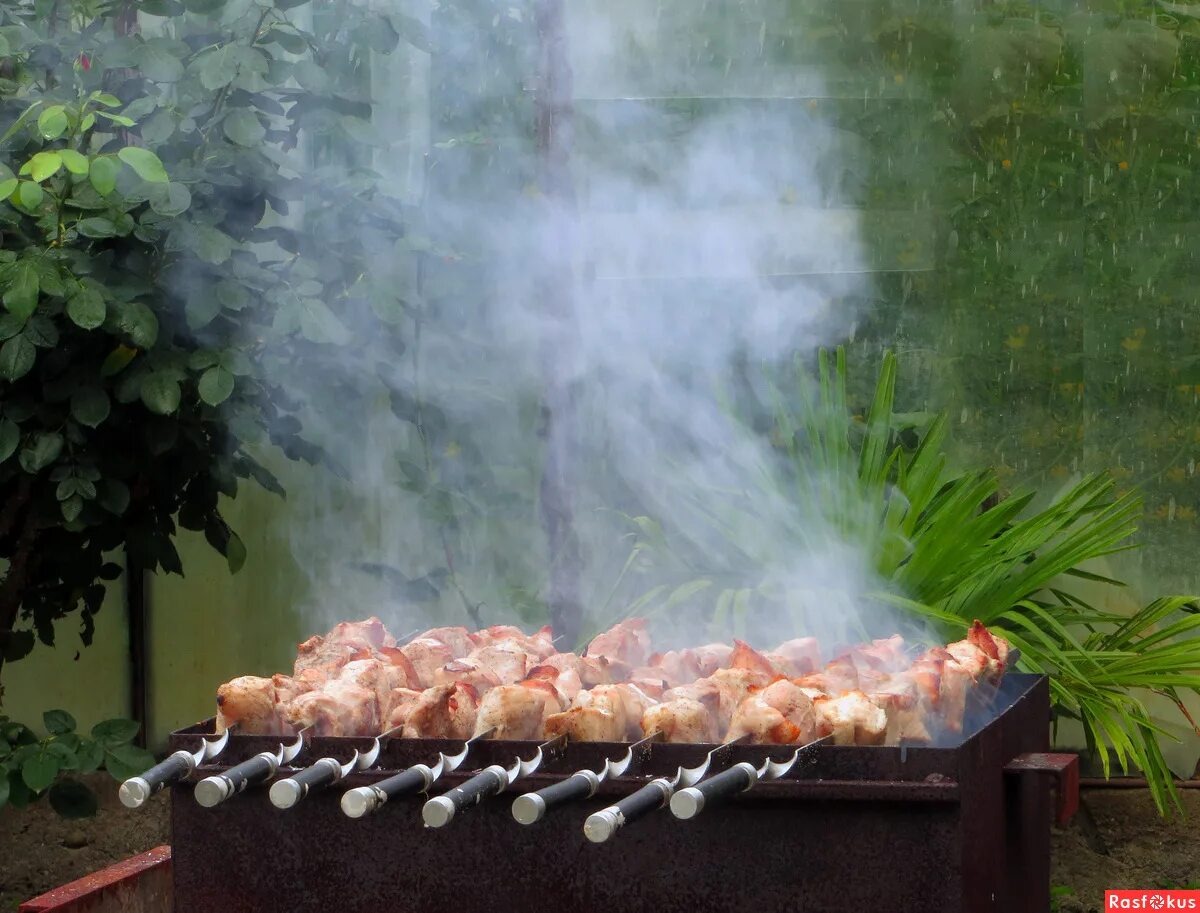 Крио-шашлык: как заморозка мяса открывает новые горизонты вкуса