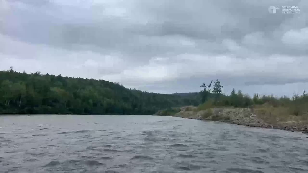 Селемджа, Брюс, Тында, Сиваки