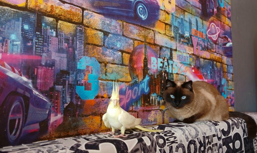 Ничто человеческое им не чуждо: кадры дружбы «мартовского кота» в «Амурской правде» Ничто человеческое им не чуждо: кадры дружбы «мартовского кота» в «Амурской правде»