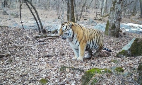 ����������� �������� ���� ����� ������� ����� ����� � �������� � ���������� �����������