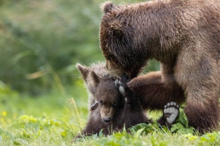 �������������, ���� �� ��� ������� �������� ������������ �����?