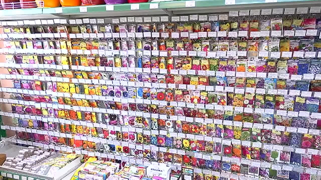 Амурские садоводы-любители начали подготовку к дачному сезону