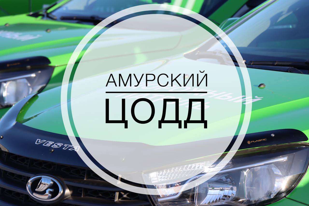 ЦОДД Амурской области теперь в соцсетях!