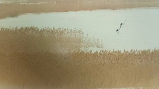 ������ �����.... ������� � ������������ ����� ��������� ������ �������� �������. � ��������, ��� �� �������, �������� � ������������� ��������������� ����������. ��� ����� �������� ��������� � ���� 20 �����