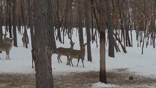 ���� ����� ����� �������!�: ��������� ����� �������� ���������� � ��������� ����� ��������