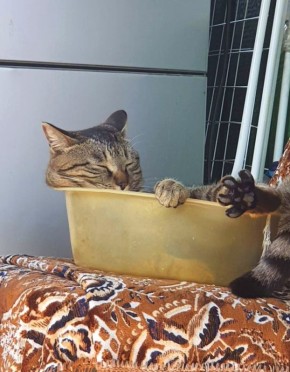 ������� ����� ��� ��� � ��� �����, �� ��� �� ������ �������