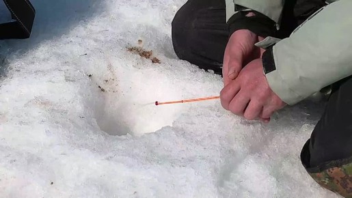 � ������������� ������� ��������� � ���������� �������� ������� �� ����������� ������