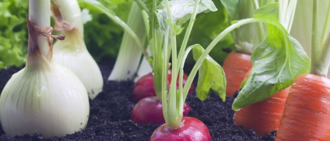 ������ ������� �� ������ �� ����� ������ � ������ ��������� ������