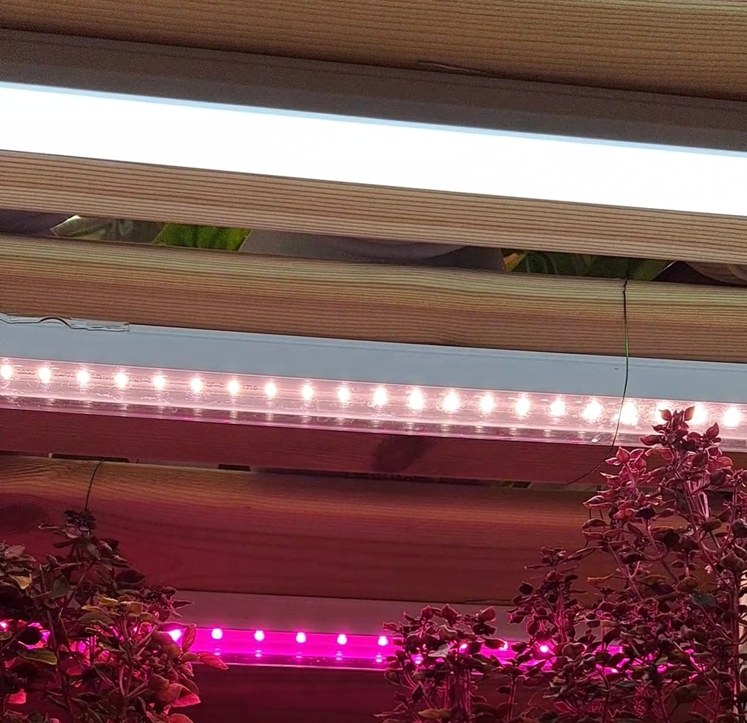 Обзор бюджетных фитоламп для рассады