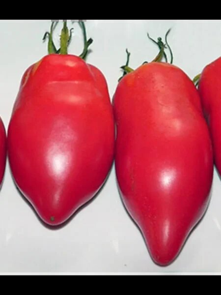 Томат Капия розовая: идеальное решение для ваших заготовок и салатов