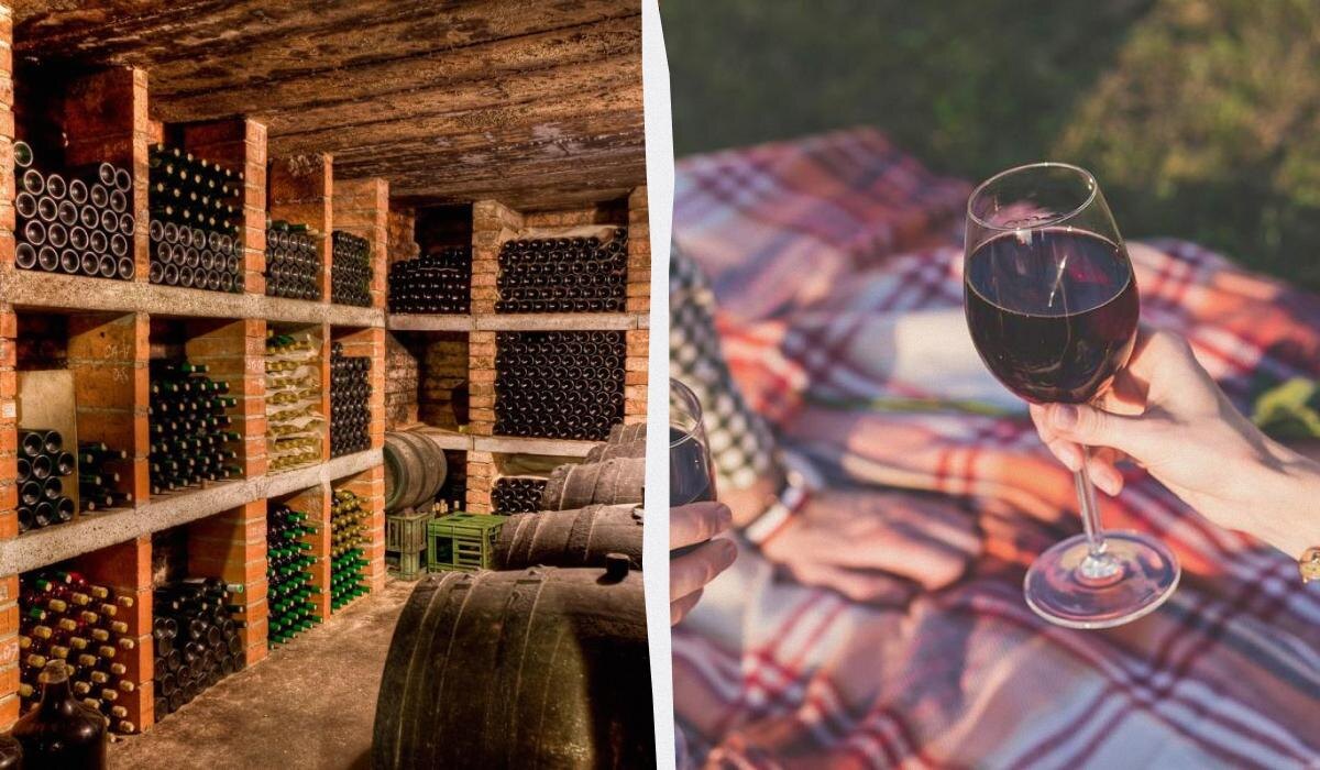 Как долго вкусное вино останется свежим после открытия: советы эксперта