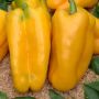 Перец Патриция: Идеальный желтый гибрид для вашего участка