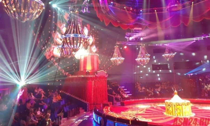 Посещение цирков хотят включить в программу «Пушкинской карты»