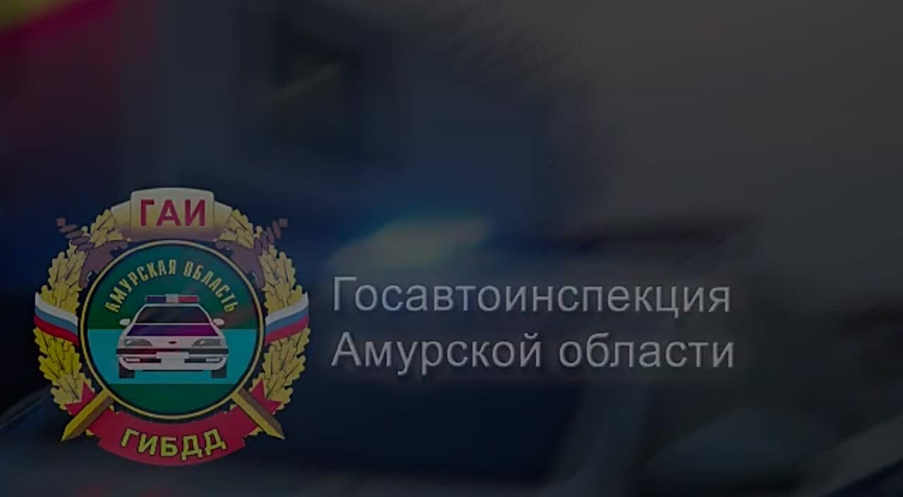 Инспекторы ДПС пресекли попытку иностранца управлять грузовиком по фальшивым документам