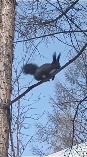 � �������� ����� ������� ������� �����