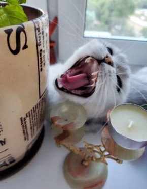 �����-�-� ������!. �������� ��� �� ��������� @ampravda