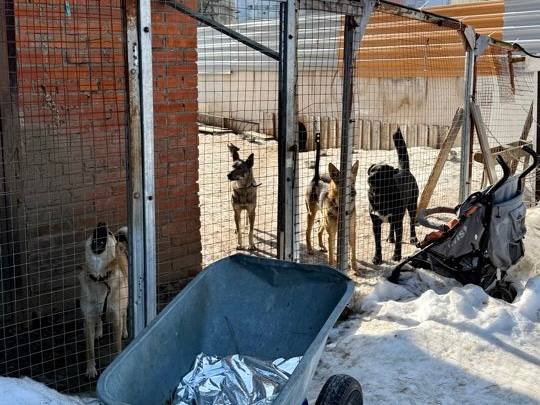 Сегодня в рубрике #ДобрыеДела: Сегодня в рубрике #ДобрыеДела: