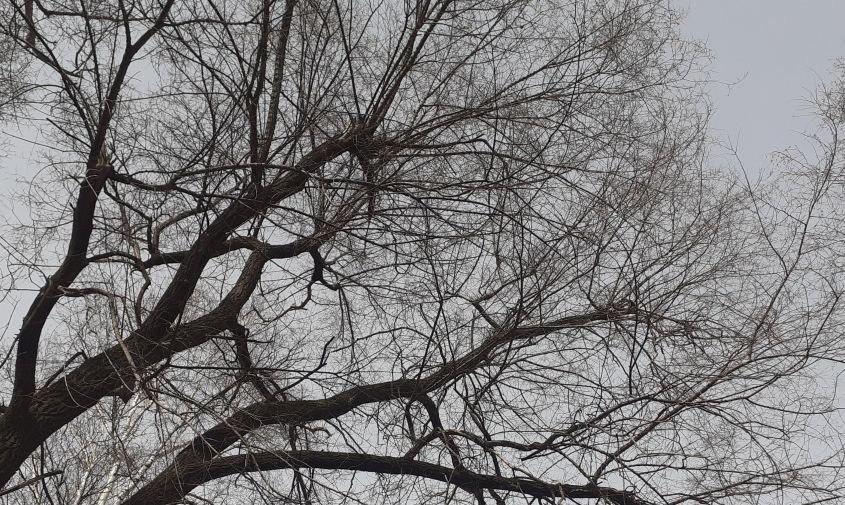 Прогноз погоды в Амурской области на 28 марта