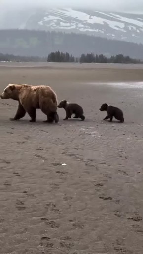 ������ ����! . ���������� �������