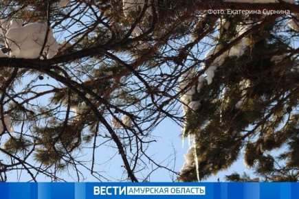 ������� ������ � ��������� �� 28 �����