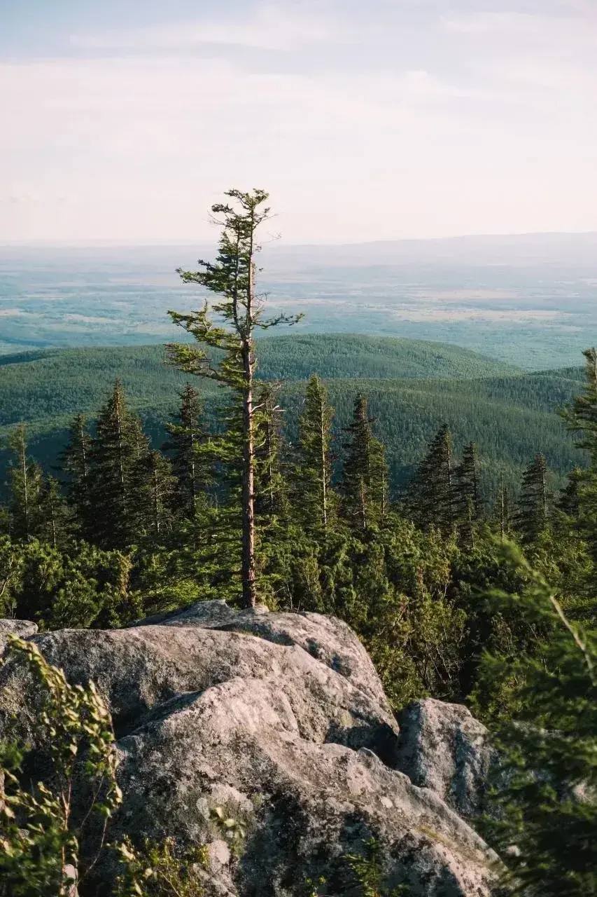 Инженер из Благовещенска мечтает устроить речной сплав от Зеи до амурской столицы Инженер из Благовещенска мечтает устроить речной сплав от Зеи до амурской столицы