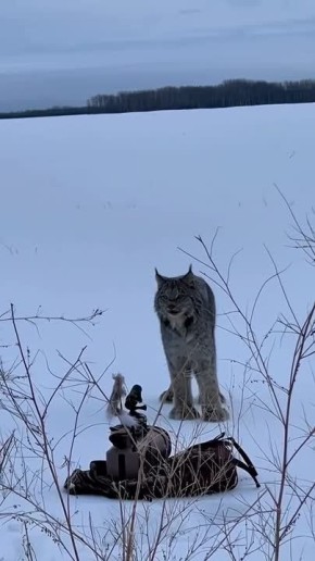 ������ ����! . �������� ������������