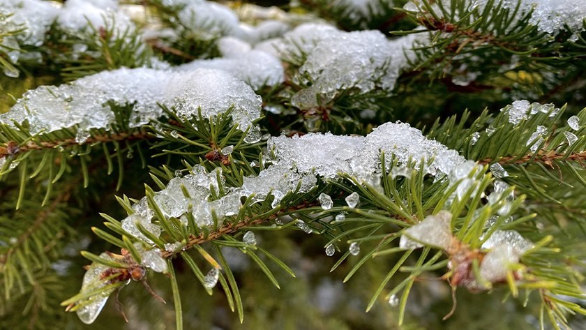 Местами небольшие осадки. О погоде в Приамурье на 29 марта: