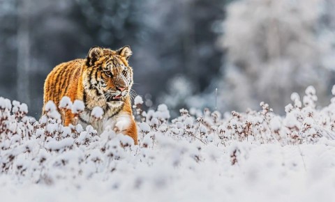 ����������� �������� ����� �������� ������ � ��������� ���������� ��-�� ����, ��� ������ �����, ��� ����� ������� ��� ��������, ������ ������ �������� ����������� ����� �� �����, � ������ ������� � ������, ��������� �...