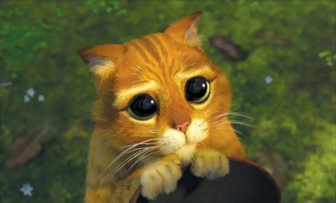 �������, �� ������ ��� ������, � ����� ���������� ����� ��� ������� ����� ������ ���, ���� ����� ������� ������ �������?