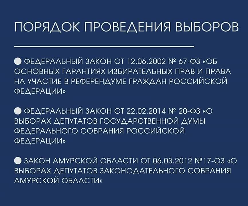 Проведение выборов депутатов Государственной Думы Федерального Собрания Российской Федерации и депутатов Законодательного Собрания Амурской области