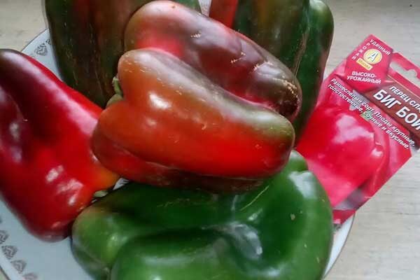 Как вырастить перец Биг Бой: советы и особенности культивации