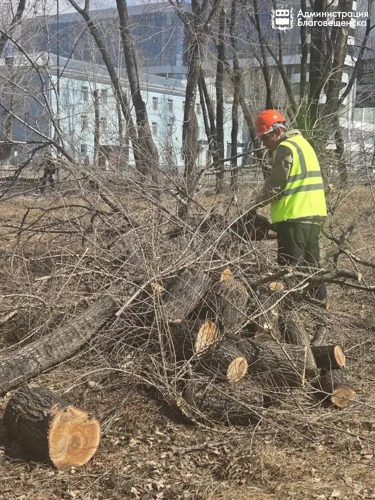 Территорию одной из самых красивых школ Благовещенска огородят новым забором Территорию одной из самых красивых школ Благовещенска огородят новым забором