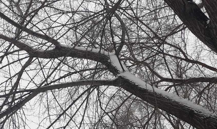 Прогноз погоды в Амурской области на 31 марта