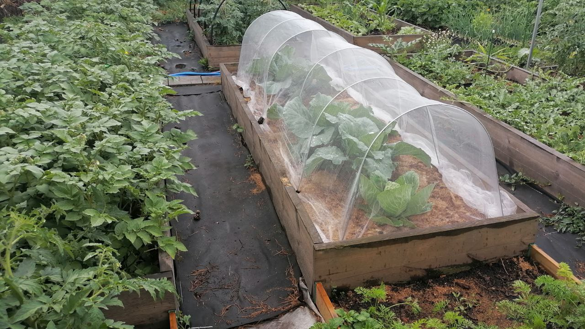 Освежите свой сад: 6 современных дорожек для вашего участка