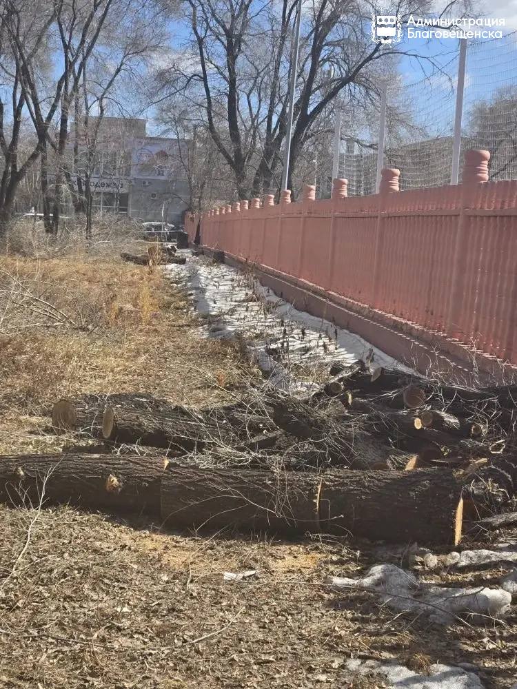 Территорию одной из самых красивых школ Благовещенска огородят новым забором Территорию одной из самых красивых школ Благовещенска огородят новым забором