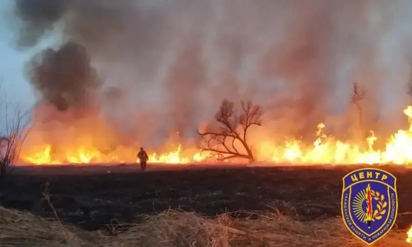 В Амурской области зарегистрировали первый в 2026 году лесной пожар