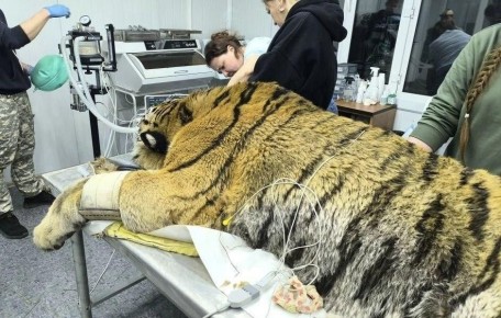 1 � �������� �������� �������� �����, ������������ �� ����� � ������������ ����