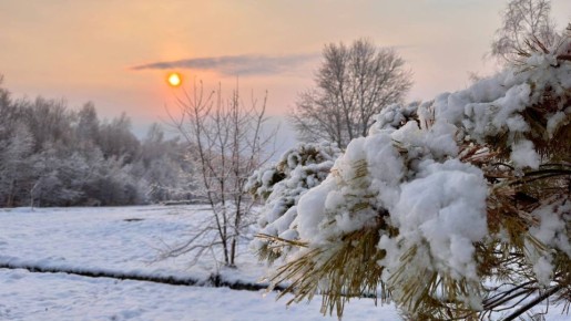 ������� ������� ������ �� �������� � ������ ����!